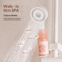 Pommeau de Douche Filtrant Parfum Rose Sauvage avec Filtre Vitamine C – Distributeur en Gros – Ensemble Intégré Cinq Modes pour Salle de Bain