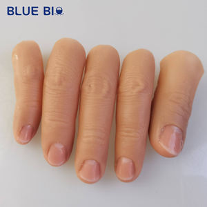 Doigts <span class=keywords><strong>de</strong></span> membre artificiels réalistes personnalisés <span class=keywords><strong>doigt</strong></span> en silicone prothétique cosmétique - Product Image 2
