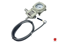 Termometer Tahan Ledakan Bersertifikasi ATEX&IECEx, Instrumen Temperatur Ex d IIC T6 Gb IP66 Output 4-20mA untuk Pompa Kompresor
