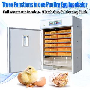 Lồng Ấp Trứng Kỹ Thuật Số Mới 8448 Lồng Ấp Trứng Ngỗng Gà Gia Cầm - Product Image 4