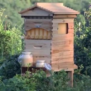 Nouvelle ruche à abeilles automatique en bois portable avec un design compact pour une apiculture durable et la collecte du miel - Product Image 5