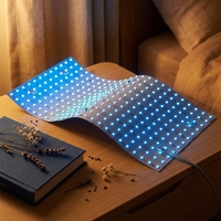 Lámina LED Personalizable en Tamaño, Forma y Temperatura de Color, 55W, 288 Chips, Caja de Luz, Retroiluminación para Letreros, Iluminación Comercial, IP20, Alta Calidad