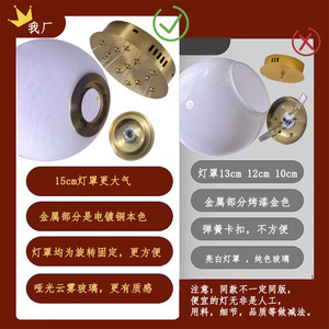 Lustre Boule Bulle Planète Lune LED pour Salon et Chambre, Lumière Plein Spectre Tricolore, Hauteur Réglable, <span class=keywords><strong>Suspension</strong></span> - Product Image 2
