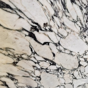 Taglio a misura naturale italia Calacatta <span class=keywords><strong>Viola</strong></span> code di <span class=keywords><strong>marmo</strong></span> per piastrelle da parete retro parete pavimento in <span class=keywords><strong>marmo</strong></span> <span class=keywords><strong>Viola</strong></span> <span class=keywords><strong>marmo</strong></span> - Product Image 5