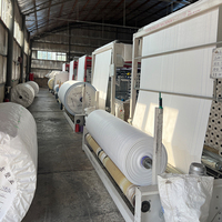 Sacs en PP tissés sur mesure, robustes, durables, résistants à l'humidité, thermosoudables pour le stockage du riz, du maïs, de la farine, des aliments pour animaux, des engrais