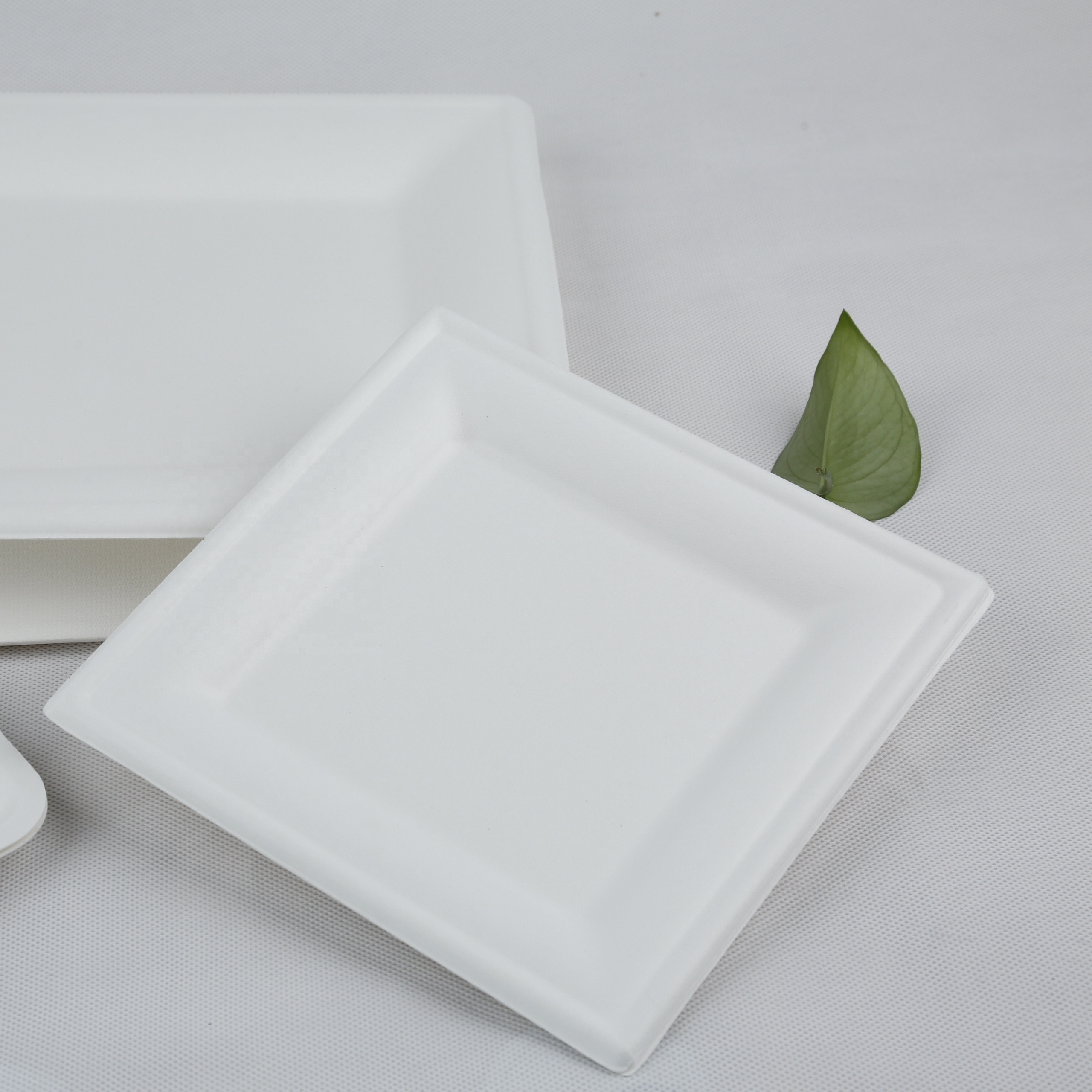 Fashion Design Biodegradable Disposable Tableware Sugarcane Bagasse Pulp Paper Plates and Bowl Eco-Friendly for Sushi and Snack