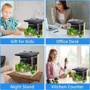 1000 Liter 3000l Media Reactor Inham Carp 100 Gallon Zeewater Aquaria Zeewater Zeezout Water <span class=keywords><strong>Aquarium</strong></span> Zee Zoutwater <span class=keywords><strong>Aquarium</strong></span> - Product Image 3