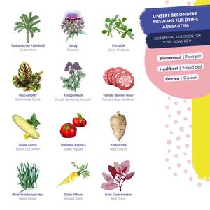 2023 Searea Biodigradable Intérieur/Extérieur <span class=keywords><strong>Pot</strong></span> De Plante <span class=keywords><strong>Petit</strong></span> <span class=keywords><strong>Pot</strong></span> De Fleur En Pâte De Papier Vert avec Fonction D'arrosage Maison Pépinière Jardin - Product Image 3