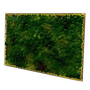 ผนัง<span class=keywords><strong>มอ</strong></span><span class=keywords><strong>ส</strong></span>เทียมตกแต่งบ้านในชีวิตประจำวัน - Product Image 5