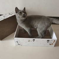 Remplacement 5 pièces/boîte papier ondulé chat lit OEM Logo été chat griffoir lit de jeu