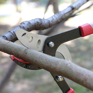 Coupe Des <span class=keywords><strong>Branches</strong></span> Épaisses À Long Manche Télescopique <span class=keywords><strong>Sécateur</strong></span> <span class=keywords><strong>Sécateur</strong></span> Outil Ciseaux - Product Image 4