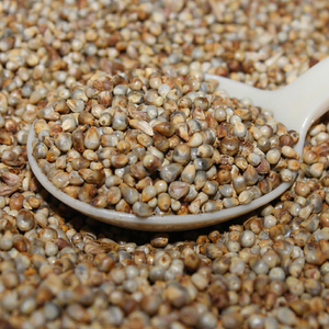 Millet perlé cultivé naturellement - Product Image 1