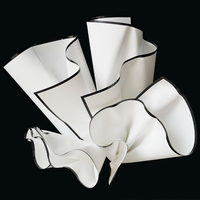 Film Cellophane Nacré Blanc avec Bordure Noire OPP pour Emballage Floral Vente en Gros aux Fleuristes