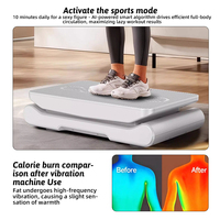 Plateforme de fitness vibrante pour l'entraînement du corps entier, utilisation à domicile, machine d'exercice électromagnétique, perte de poids, télécommande sans fil