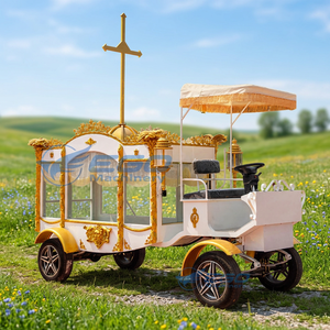 Cercueil électrique de type limousine pour cérémonie funéraire en Europe, charrette funéraire à chevaux à vendre, charrette funéraire traînée à vendre - Product Image 1