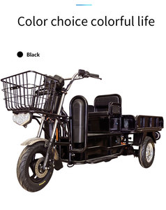 Tricycle électrique robuste Hercules Cargo, moto électrique longue portée pour passagers et marchandises - Product Image 1