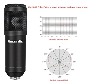 GAM-800P buena calidad condensador de estudio de grabación de diafragma grande micrófono <span class=keywords><strong>con</strong></span> <span class=keywords><strong>brazo</strong></span> ajustable soporte para - Product Image 2