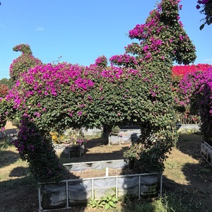 HOKBG Pot <span class=keywords><strong>de</strong></span> fleurs rectangulaire réutilisable, respirant et écologique, <span class=keywords><strong>sac</strong></span> <span class=keywords><strong>de</strong></span> culture en tissu noir <span class=keywords><strong>de</strong></span> grande taille - Product Image 5