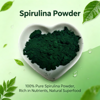 Poudre de spiruline pure de qualité alimentaire, superaliment vert naturel, matière première en vrac, vente en gros