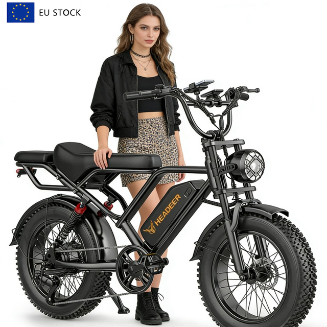 EU Warehouse 48V 20Ah Electric Bike Ebike 250W Fat Tire Bike Ebike Electric Cycle Fat Bike HEADEER BK20