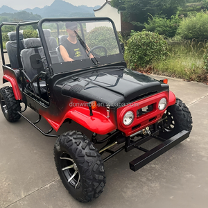 Popolare Buggy Classico 350cc, Go-Kart con Motori Elettrici 250cc, Mini Jeep Automatica a 2 Posti in Vendita - Product Image 3