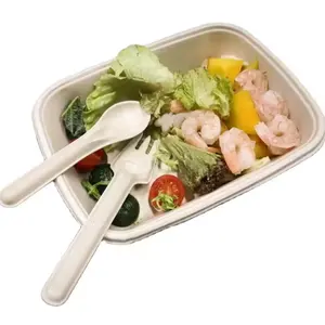 CT1100 PFAS Free Biodegradable Sugarcane Bagasse Pulp Take Away Food Container To Go Box 850/1100/1300ml Food Tray