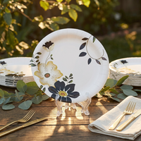 Assiettes en papier jetables imprimées Joyeux Anniversaire avec ballons colorés, vaisselle de table robuste pour desserts et gâteaux, fournitures de fête à thème dessin animé