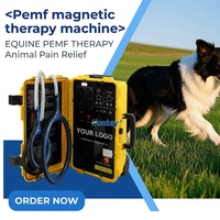 Appareil PEMF équin portable, système de thérapie PEMF pour chevaux, équipement de thérapie équine, PEMF équin pour la récupération des membres des chevaux