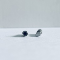 Analoge de laboratoire pour implant hexagonal interne MIS avec réplication précise de la plateforme pour la fabrication de couronnes et de bridges