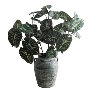 Planta Artificial de Escamas de Dragón Meng Jie, 30cm-100cm, Plástico, Decoración Interior, Vegetación Artificial - Product Image 5