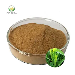 100% Pure Natural Dahurian Patrinia Extract Herba Patriniae Extract powder