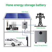 Batterie solaire, stockage d'énergie de batterie, entreprises de stockage d'énergie, 16 kWh, 32 kW, systèmes solaires domestiques Hsolar, alimentation de secours au phosphate de fer lithium