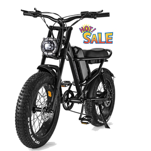 Anh Cổ Xe Đạp Điện Off Road 20 Inch Chất Béo Lốp 500W 48V Dành Cho Người Lớn Retro Xe Đạp Điện EU Kho - Product Image 2
