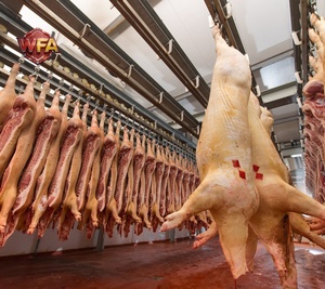 Équipement de ligne d'abattage automatique pour porcs, projet clé en main avec système de convoyeur pour <span class=keywords><strong>abattoir</strong></span> - Product Image 6