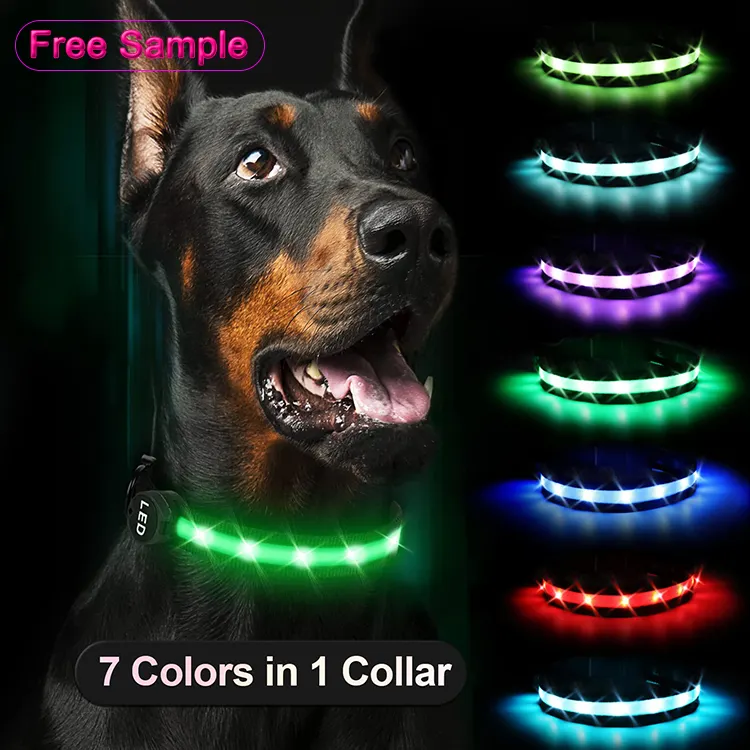 Small Medium Large Light Up Pet Safety Waterproof Glowing Flashing Rechargeable USB LED Dog Collar For Dogs