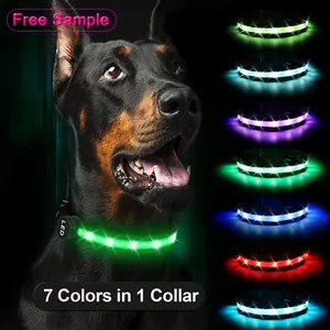 Collier LED USB Rechargeable pour chien, petit, moyen, grand, lumineux, étanche, clignotant, accessoire de sécurité pour animaux de compagnie