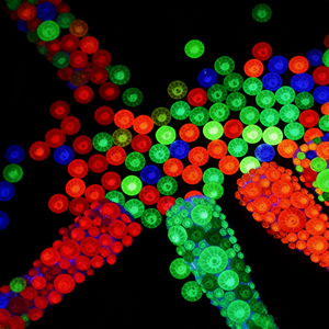 Стразы OYE-STONES неоновых цветов из хрустального стекла, оптом, с плоским дном, для дизайна сумок, одежды, обуви и нейл-арта - Product Image 2