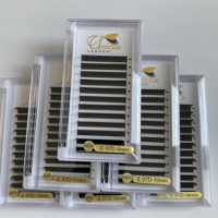 Extensions de cils en volume faciles à poser, fabriquées à la main en Corée, marque privée, PBT, plateaux de 0,03, 0,05, 0,07, cils en cachemire noir mat, extensions de cils méga