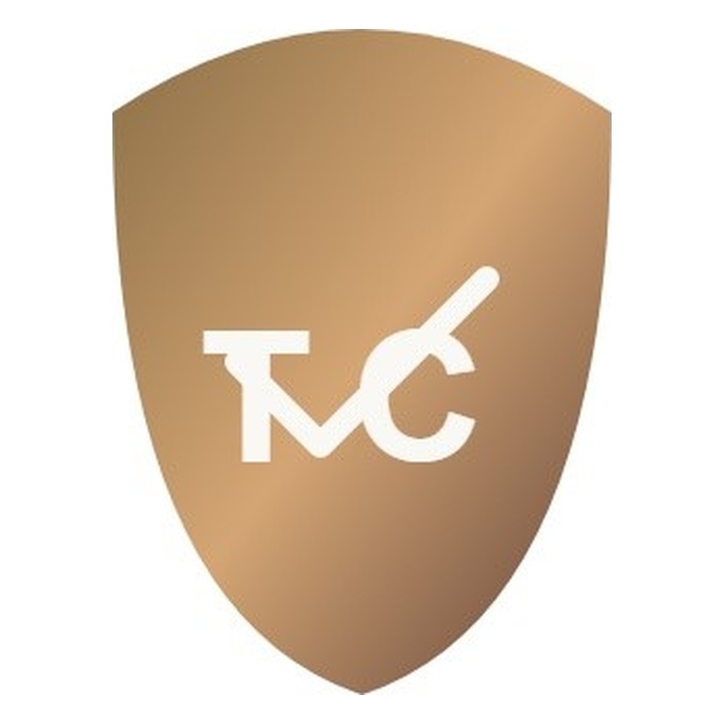 Guangzhou Tongchuang Leather Co., Ltd. logo