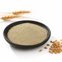 Spermidine pure CAS 124-20-9, matière première naturelle anti-âge, activateur d'autophagie cellulaire, ingrédient de complément nutritionnel
