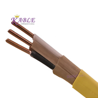 Câble électrique de construction en cuivre isolé PVC toronné NM-B 10/2 12/2 14/2 pour les États-Unis/Canada, tension nominale 600V
