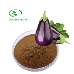 Vente en gros Aladdin Poudre d'aubergine de qualité supérieure, Extrait d'aubergine, Conditionnement en fût, bouteille, récipient en verre, bocal Mason, sous vide - Product Image 1