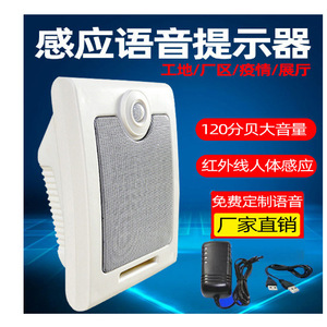 Dispositif de détection de présence humaine infrarouge avec commande vocale, amplificateur de son haute puissance 400W, niveau professionnel - Product Image 2