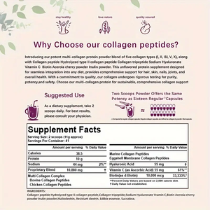 Peptídeos de Colágeno Tipo I,II,III,V,X com Biotina 10000mcg Ácido Hialurônico Vitamina C Unflavored Multi Colágeno Proteína Em Pó - Product Image 5