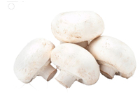 Extrait de Champignon Blanc en Poudre, Polysaccharide 30% Agaricus Bisporus