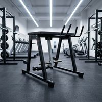 Équipement de fitness pour salle de sport : Banc de musculation pour hyper-extension inversée, Machine à flexions dorsales et à extension des jambes allongées