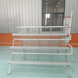 Meilleur prix Batterie a Type Cage pour poules pondeuses Élevage de volailles 3 étages 4 portes 96 oiseaux Poules pondeuses au Zimbabwe - Product Image 2