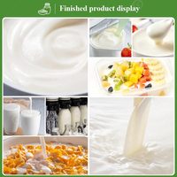 Équipement de production de mini-yogourt au lait fermenté UHT industriel, machine de fabrication de yaourt, prix usine à vendre