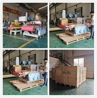 Machine à découper les carreaux BT800I, coupeur de carreaux, mosaïques pour plinthes, céramique, granit
