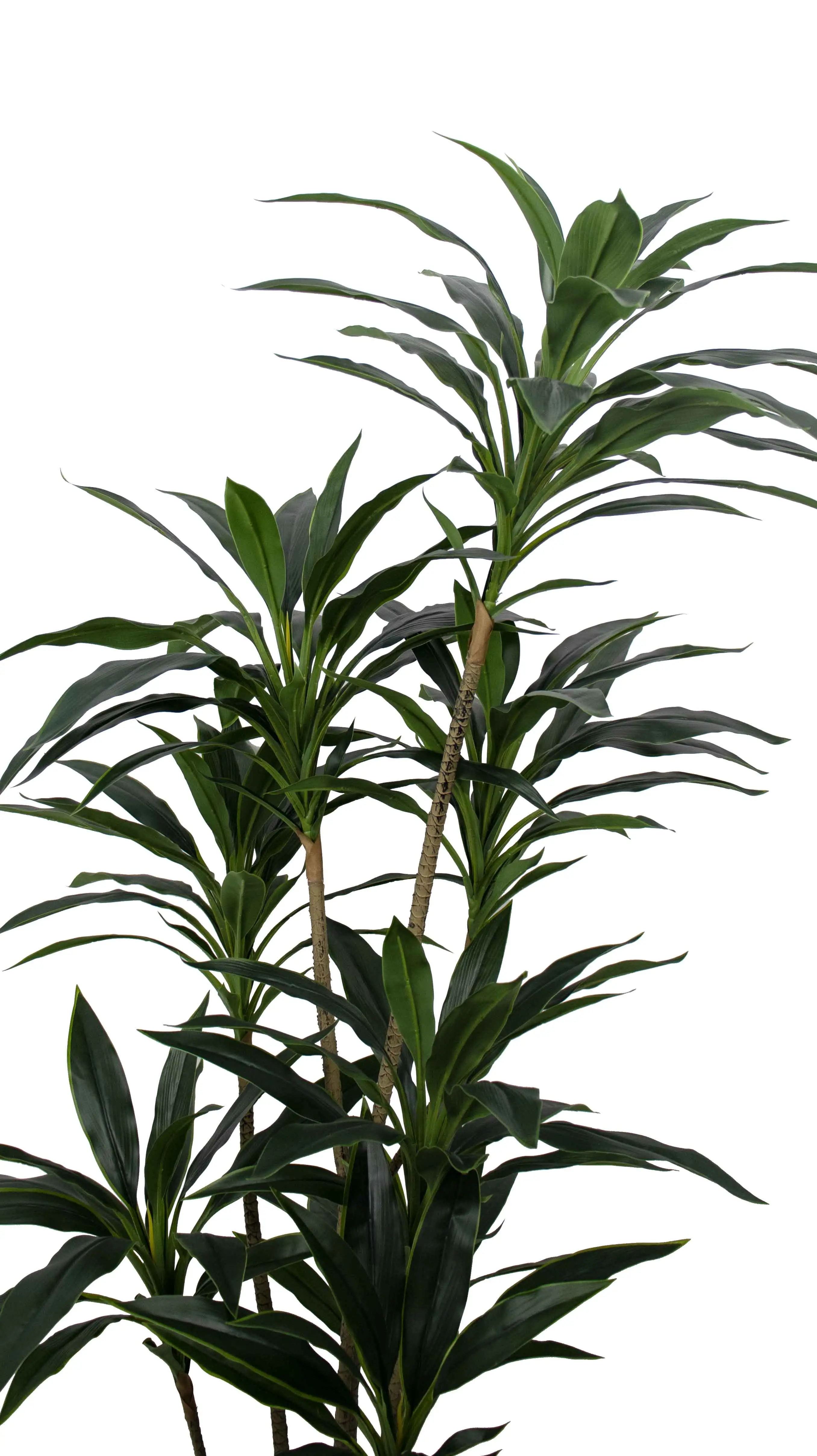 150cm181葉アスパラ科シミュレートされたプラスチック植物無臭装飾用リアルな人工Dracaena fragransドラゴンツリー